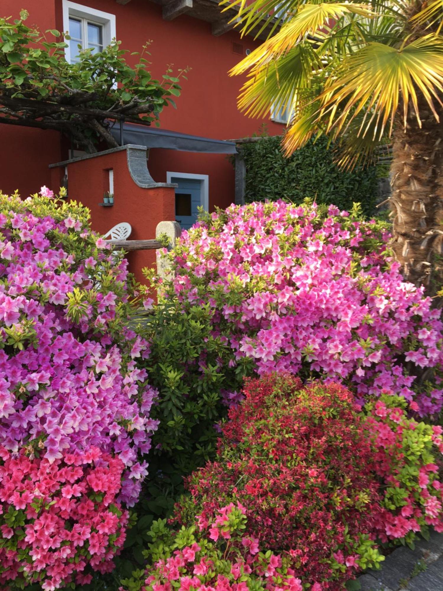 Apartamento Girasole Orselina Exterior foto